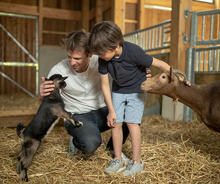 Animal Care